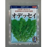 送料無料　[葉物]　ルッコラ　オデッセイ　ロケット　1dl　(株)サカタのタネ