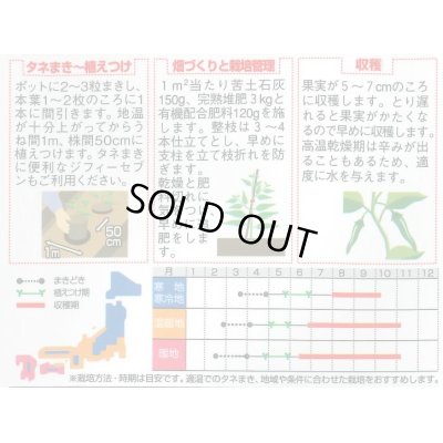 画像2: 送料無料　[ししとう]　翠臣　約30粒　(株)サカタのタネ　実咲450 （002905）