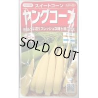 送料無料　[とうもろこし]　ヤングコーン　約90粒　(株)サカタのタネ　実咲450（002894）