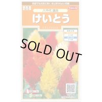 送料無料　花の種　けいとう　八千代混合　約186粒　(株)サカタのタネ　実咲200（026322）