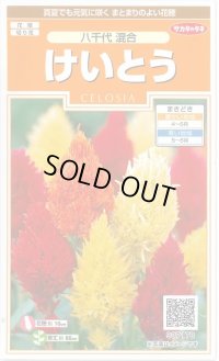 送料無料　花の種　けいとう　八千代混合　約186粒　(株)サカタのタネ　実咲200（026322）