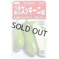 送料無料　[かぼちゃ]　マッチャン　約8粒　(株)サカタのタネ　実咲450(002871)