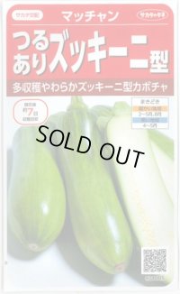 送料無料　[かぼちゃ]　マッチャン　約8粒　(株)サカタのタネ　実咲450(002871)