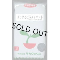 送料無料　[牛蒡]　ダイエット　1L　(株)サカタのタネ