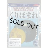 送料無料　[かぼちゃ]　くりほまれ　100粒　(株)サカタのタネ