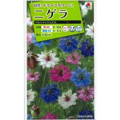 花種 小袋 ニゲラ ペルシャンジュエル 1 5ml タキイ種苗 花種 花種 小袋 春まき グリーンロフトネモト直営