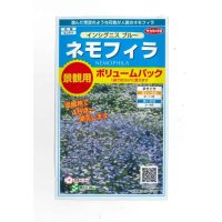 送料無料　花の種　景観用　ネモフィラ　インシグニスブルー　約3平米用　(株)サカタのタネ　実咲350（026178）