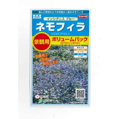 画像1: 送料無料　花の種　景観用　ネモフィラ　インシグニスブルー　約3平米用　(株)サカタのタネ　実咲350（026178）