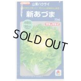 送料無料　[白菜]　新あづま　20ml　タキイ種苗(株)
