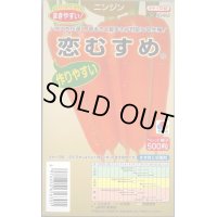 送料無料　[人参]　恋むすめ　500粒　タキイ種苗(株)