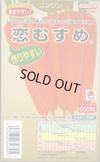 送料無料　[人参]　恋むすめ　500粒　タキイ種苗(株)