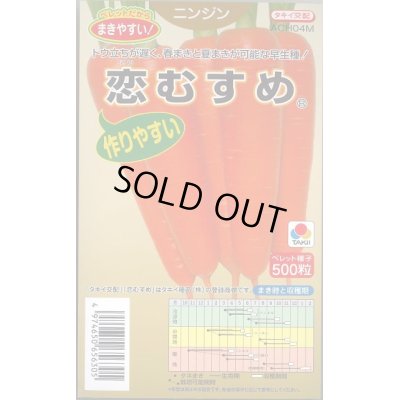 画像1: 送料無料　[人参]　恋むすめ　500粒　タキイ種苗(株)