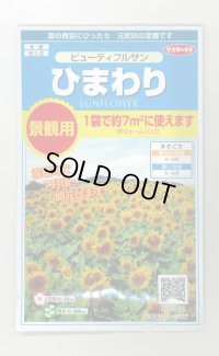 送料無料　花の種　ひまわり　ビューティフルサン　約7平米用　(株)サカタのタネ　実咲350（026179）