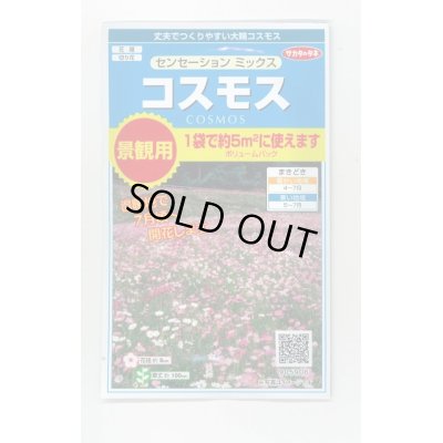 画像1: 送料無料　花の種　景観用コスモス　センセーションミックス　(株)サカタのタネ　実咲350（026176）