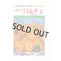 送料無料　[トマト/ミニトマト]　オレンジパルチェ　1000粒　カネコ交配