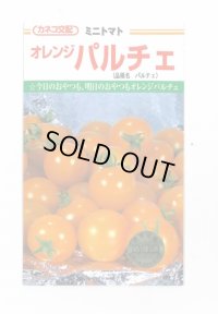 送料無料　[トマト/ミニトマト]　オレンジパルチェ　1000粒　カネコ交配