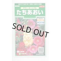 送料無料　花の種　たちあおい　サマーカーニバル　約25粒　　(株)サカタのタネ　実咲250（026292）