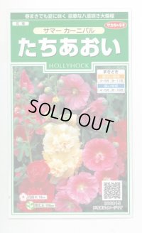 送料無料　花の種　たちあおい　サマーカーニバル　約25粒　　(株)サカタのタネ　実咲250（026292）