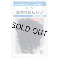 送料無料　[葉物]　赤ちりめんシソ　9ml　タキイ種苗　MF