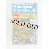 送料無料　花の種　マリーゴールド　アフリカントール　約3平米用　(株)サカタのタネ　実咲350（026180）