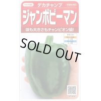 送料無料　[ピーマン]　ジャンボピーマン　デカチャンプ　約40粒　(株)サカタのタネ　実咲500（002903）