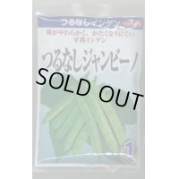 送料無料　[いんげん]　インゲン　つるなしジャンビーノ　1dl　(株)サカタのタネ