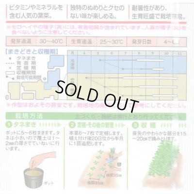 画像2: 送料無料　[葉物]　モロヘイヤ　1.5ml　タキイ種苗(株)　GF