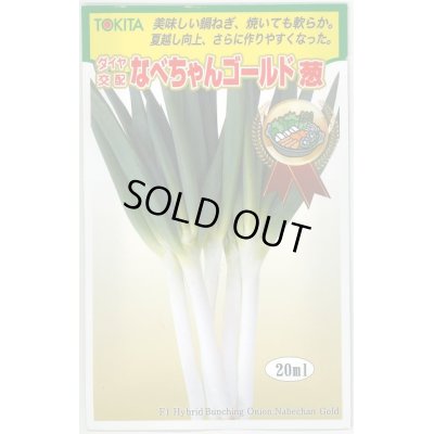 画像1: 送料無料　[ねぎ]　なべちゃんゴールド葱　20ml　トキタ種苗(株)