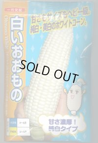 送料無料　[とうもろこし]白いおおもの　200粒　ナント種苗(株)