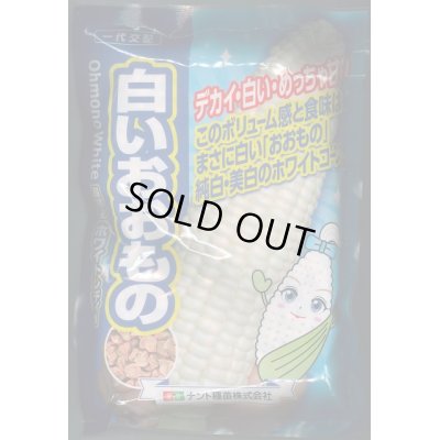 画像1: [とうもろこし]白いおおもの　2000粒　ナント種苗(株)