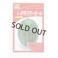 送料無料　[スイカ]　小玉スイカ　FRマダーボール　200粒　ヴィルモランみかど