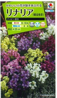 送料無料　花の種　リナリア　グッピー混合　小袋　タキイ種苗(株)