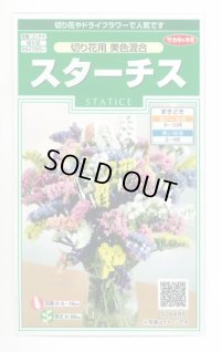 送料無料　花の種　スターチス　切り花用　美色混合　約54粒　(株)サカタのタネ　実咲250（026254）