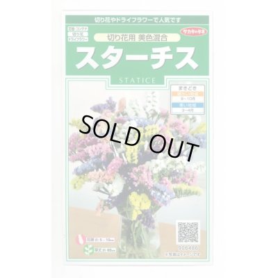 画像1: 送料無料　花の種　スターチス　切り花用　美色混合　約54粒　(株)サカタのタネ　実咲250（026254）