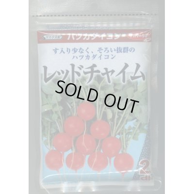 画像1: 送料無料　[大根]　はつかだいこん　レッドチャイム　2dl　(株)サカタのタネ