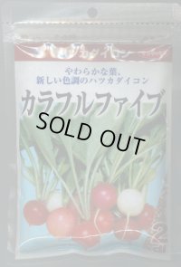 送料無料　[大根]　はつかだいこん　カラフルファイブ　2dl　(株)サカタのタネ