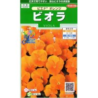 送料無料　花の種　ビオラ　ピエナ　オレンジ　20粒　(株)サカタのタネ　実咲250（026269）