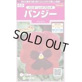 送料無料　花の種　パンジー　パシオ　レッドブロッチ　約34粒　(株)サカタのタネ　実咲350（026139）
