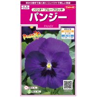 送料無料　花の種　パンジー　パシオ　ブルーブロッチ　約34粒　(株)サカタのタネ　実咲350（026142）