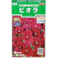 送料無料　花の種　ビオラ　ピエナ　ローズブロッチ　20粒　(株)サカタのタネ　実咲250（026272）