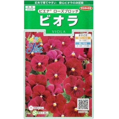 花種 小袋 ビオラ ピエナ ローズブロッチ 粒 サカタのタネ 花種 花種 小袋 秋まき グリーンロフトネモト直営