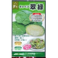 送料無料　[キャベツ]　翠緑　1ml　(株)大和農園