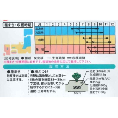 画像2: 送料無料　[キャベツ]　翠緑　1ml　(株)大和農園