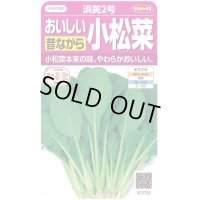 送料無料　[小松菜]　浜美2号　約2000粒　(株)サカタのタネ　実咲350（002947）