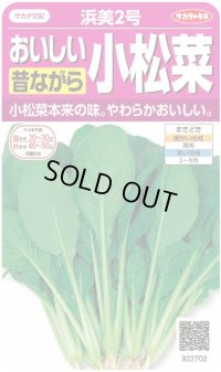 送料無料　[小松菜]　浜美2号　約2000粒　(株)サカタのタネ　実咲350（002947）