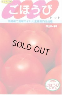 送料無料　[トマト]　ごほうび　20粒　(株)サカタのタネ