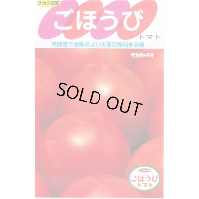 画像1: 送料無料　[トマト]　ごほうび　20粒　(株)サカタのタネ