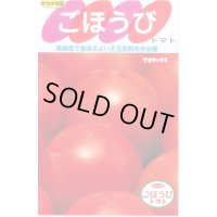 送料無料　[トマト]　ごほうび　100粒　(株)サカタのタネ