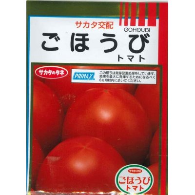 画像1: 送料無料　[トマト]　ごほうび　1000粒　(株)サカタのタネ