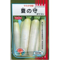 送料無料　[大根]　夏の守　800粒　(株)サカタのタネ